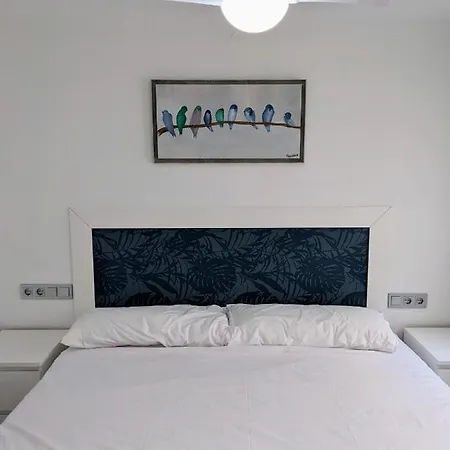 Apartment - Primera Linea De Playa Junto Al Paseo Maritimo